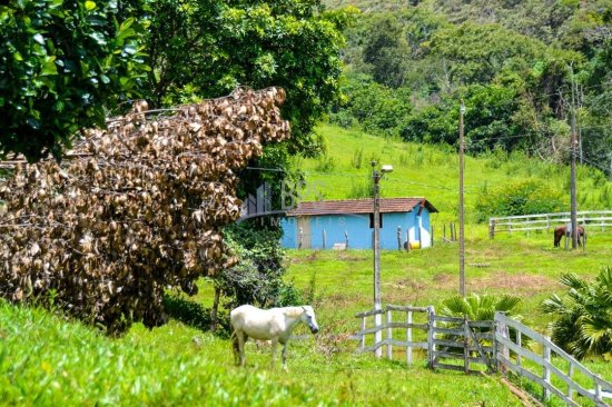 fazenda-venda-claudio-mg-845480