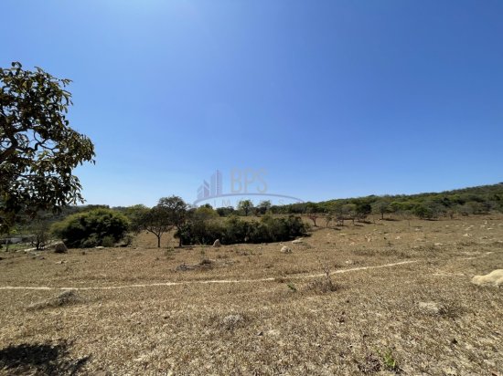 terreno-venda-fazenda-vargem-grande-zona-rural-esmeraldas-584714