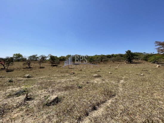 terreno-venda-fazenda-vargem-grande-zona-rural-esmeraldas-584718