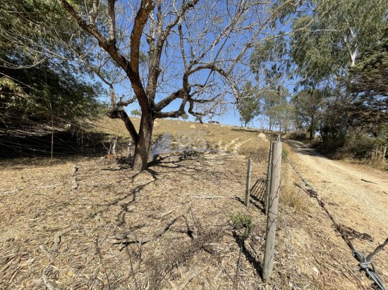 terreno-venda-fazenda-vargem-grande-zona-rural-esmeraldas-584708