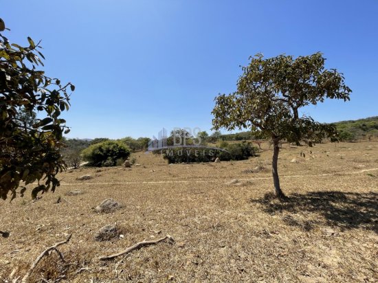 terreno-venda-fazenda-vargem-grande-zona-rural-esmeraldas-584710