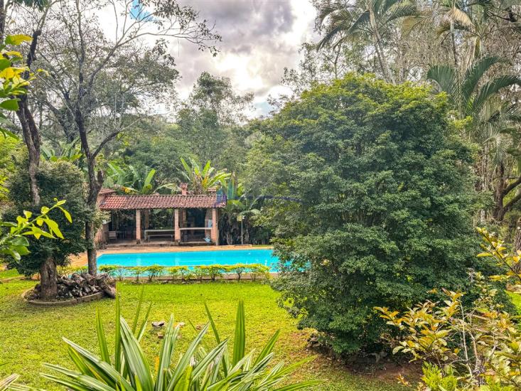 sitio-venda-pimentas-betim-1017411