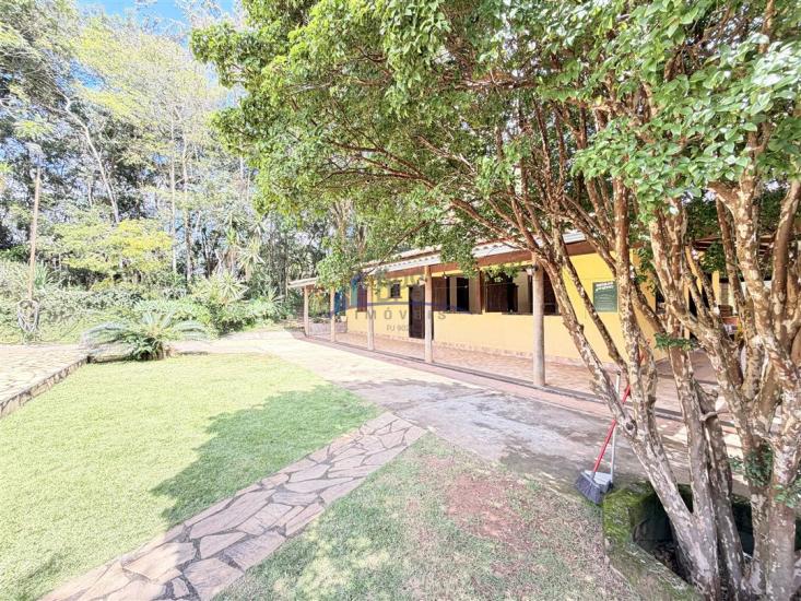 sitio-venda-pimentas-betim-1100404